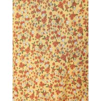 Julina Women Dress afbeelding