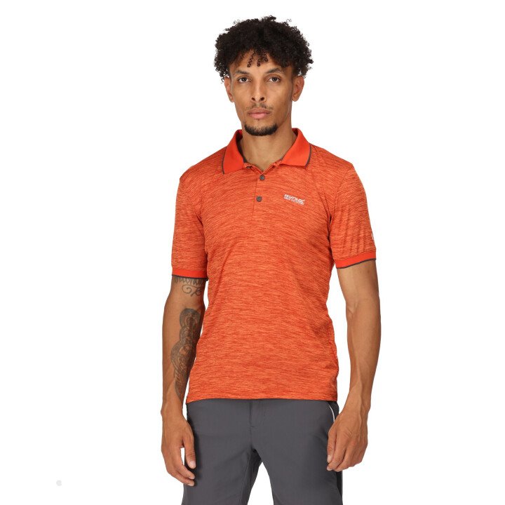 Remex II Polo Men afbeelding