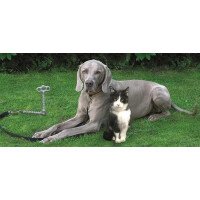 220000254 1 afbeelding