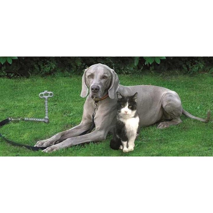 220000254 1 afbeelding