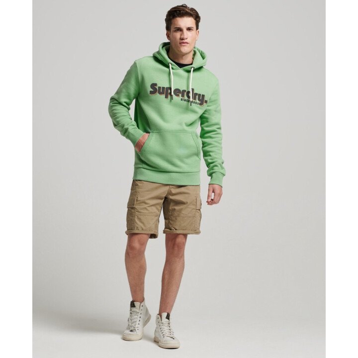Terrain Logo Classic Hoodie Men afbeelding