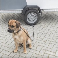 012090033 3 afbeelding