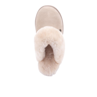 310000113 1 afbeelding