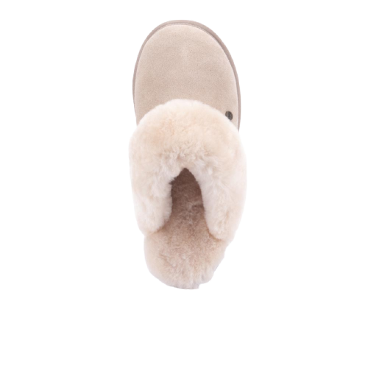 310000113 1 afbeelding