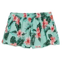 Beach Short Wms afbeelding