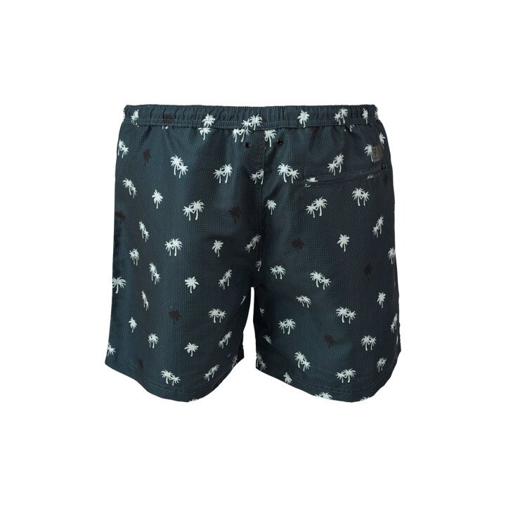 Roshan Men Swim Shorts afbeelding