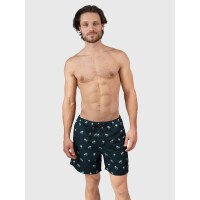 Roshan Men Swim Shorts afbeelding