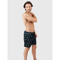 Roshan Men Swim Shorts afbeelding