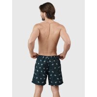 Roshan Men Swim Shorts afbeelding