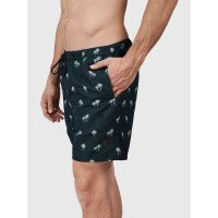 Roshan Men Swim Shorts afbeelding