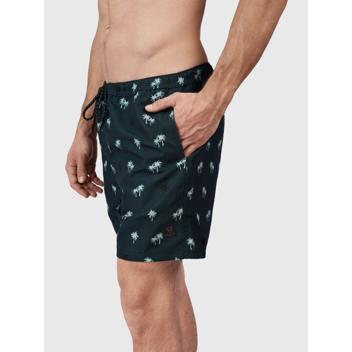 Roshan Men Swim Shorts afbeelding