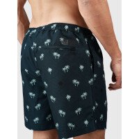 Roshan Men Swim Shorts afbeelding