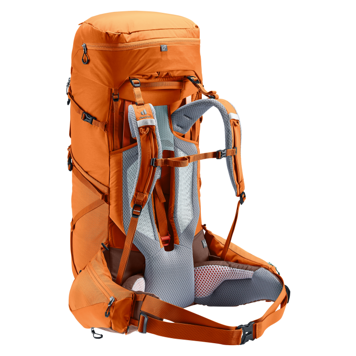 340010504 2 afbeelding