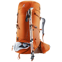 340010504 3 afbeelding