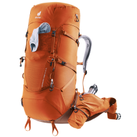 340010504 4 afbeelding