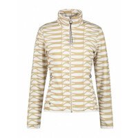  Aikkinen Midlayer afbeelding
