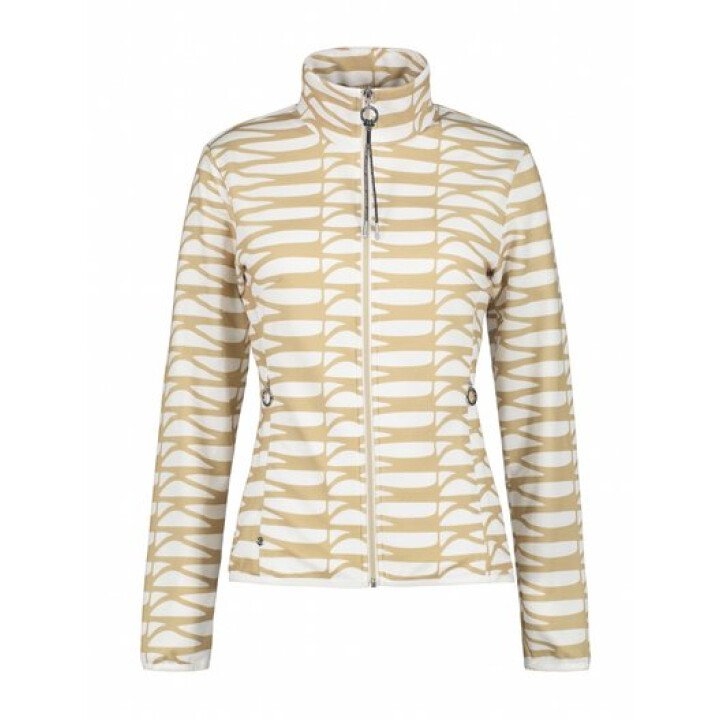  Aikkinen Midlayer afbeelding