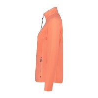  Ilvesoja Midlayer afbeelding