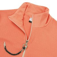  Ilvesoja Midlayer afbeelding
