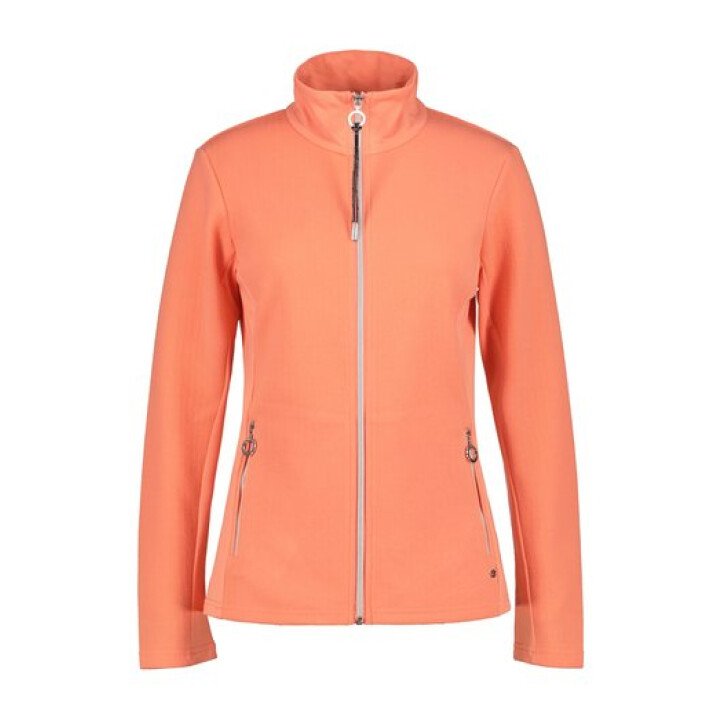  Ilvesoja Midlayer afbeelding