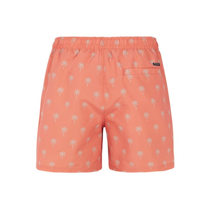 PRTALVIS Beachshort afbeelding