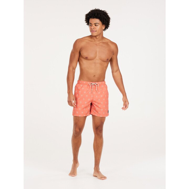 PRTALVIS Beachshort afbeelding
