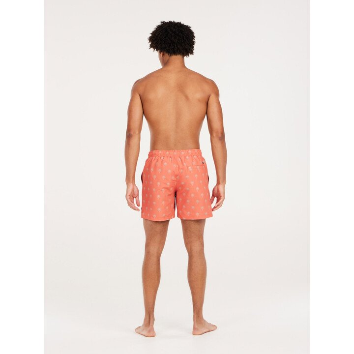 PRTALVIS Beachshort afbeelding