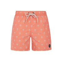 PRTALVIS Beachshort afbeelding