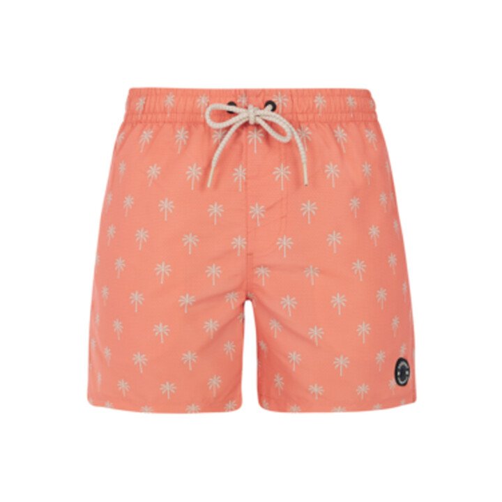 PRTALVIS Beachshort afbeelding