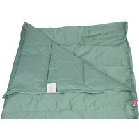 Stormvogel light zeegroen 5 afbeelding