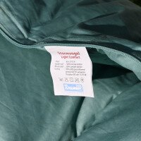 Stormvogel light zeegroen sfeer 1 afbeelding