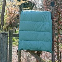 Stormvogel light zeegroen sfeer 5 afbeelding