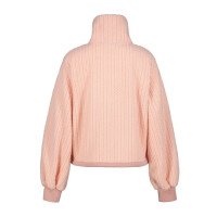  Adonet Midlayer afbeelding