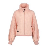  Adonet Midlayer afbeelding