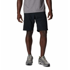 Silver Ridge Utility Short Men afbeelding