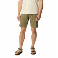Silver Ridge Utility Short Men afbeelding