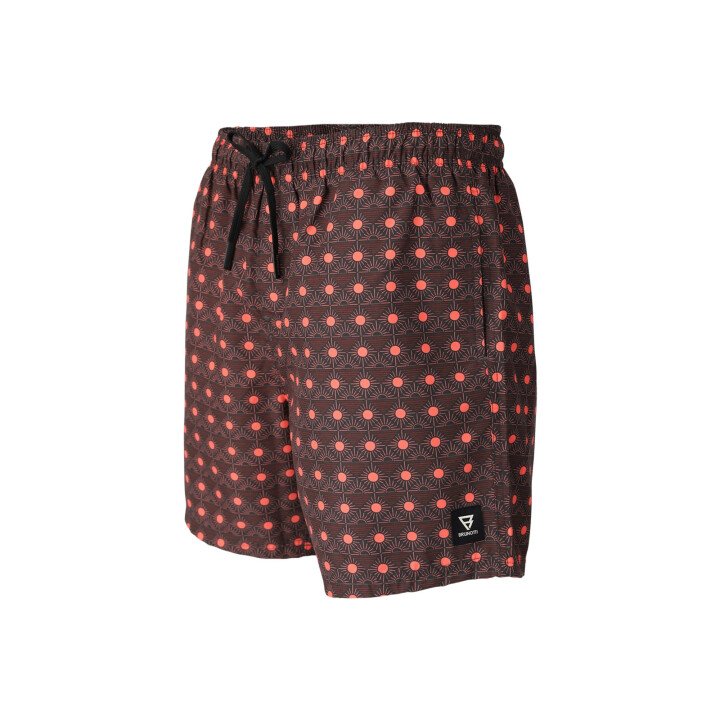 Cester-Mini Men Swim Shorts afbeelding