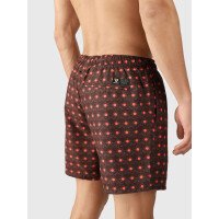 Cester-Mini Men Swim Shorts afbeelding