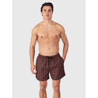 Cester-Mini Men Swim Shorts afbeelding
