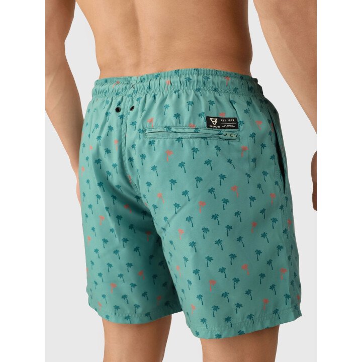 Cester-Mini Men Swim Shorts afbeelding