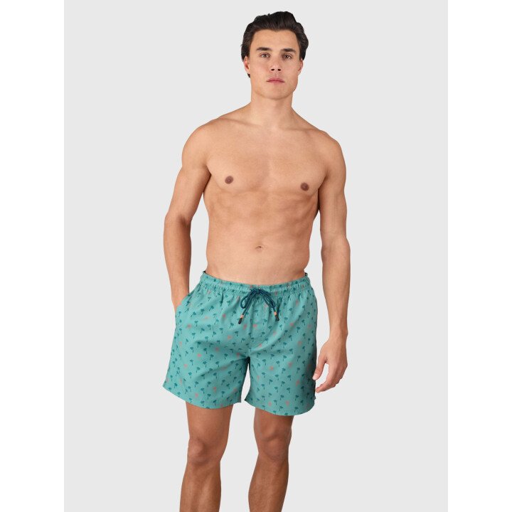 Cester-Mini Men Swim Shorts afbeelding