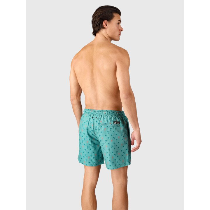 Cester-Mini Men Swim Shorts afbeelding