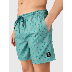 Cester-Mini Men Swim Shorts afbeelding