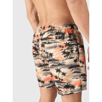 Cester-AO Men Swim Shorts afbeelding