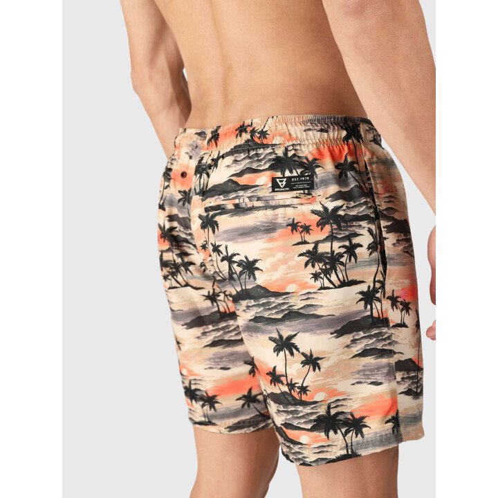 Cester-AO Men Swim Shorts afbeelding