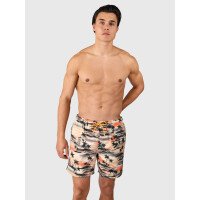 Cester-AO Men Swim Shorts afbeelding