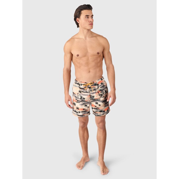 Cester-AO Men Swim Shorts afbeelding