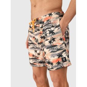 Cester-AO Men Swim Shorts afbeelding
