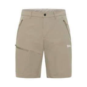 Pico Trail Shorts Men afbeelding