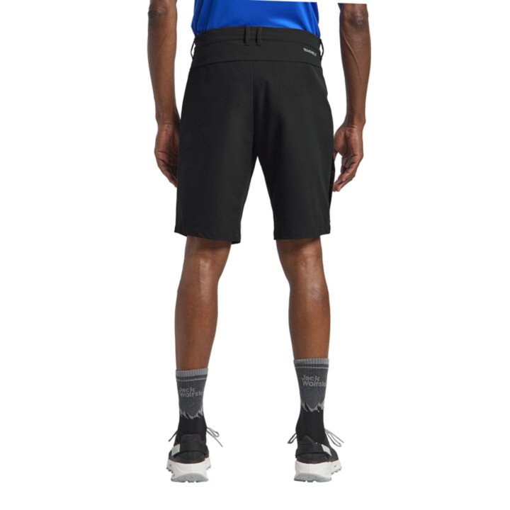 Pico Trail Shorts Men afbeelding